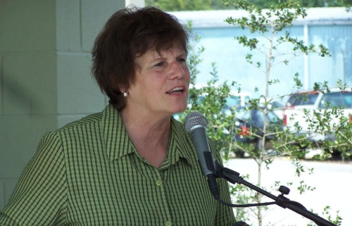 Former Houston City Council Member Sue Lovell announced her campaign for mayor July 1. 