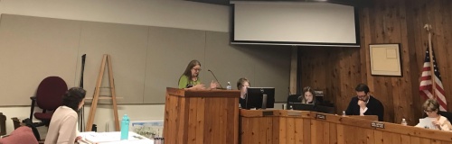 Finance Officer Vonda Ragsdale presents budget amendments during the West Lake Hills City Council meeting. 