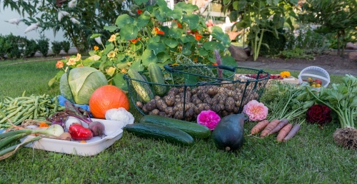 Willow Fork Park is hosting a event on gardening on Sept. 14. 