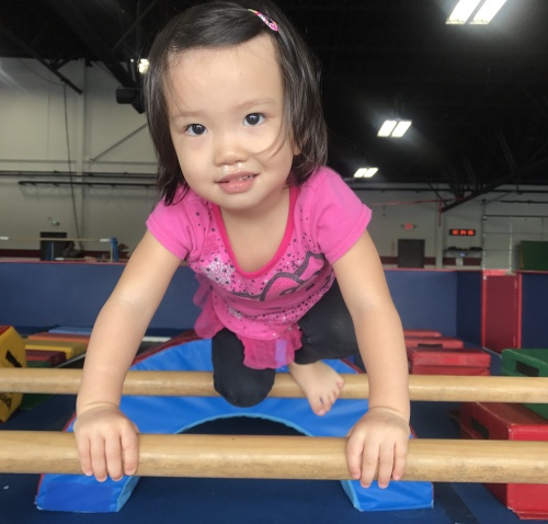 Alpha Omega Gymnastics & Dance will open its fourth Houston-area facility in the Centre at Northpark development in Kingwood. 