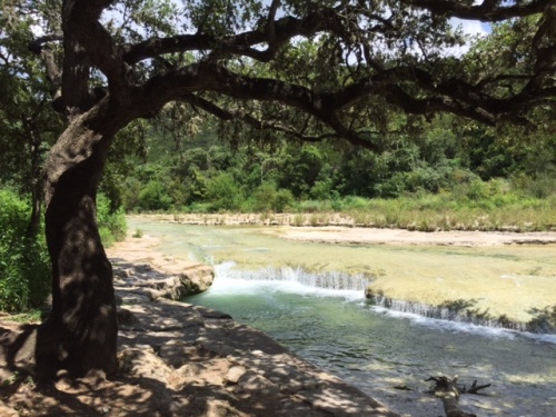 A weekend manhole overflow caused approximately 25,000 gallons of sewage to pollute Bull Creek in Northwest Austin.