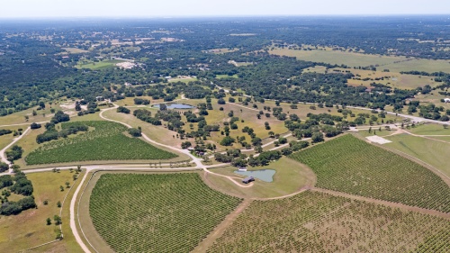Officials from Driftwood Golf and Ranch Club have said the business' golf course should open in Dripping Springs' ETJ in 2020.
